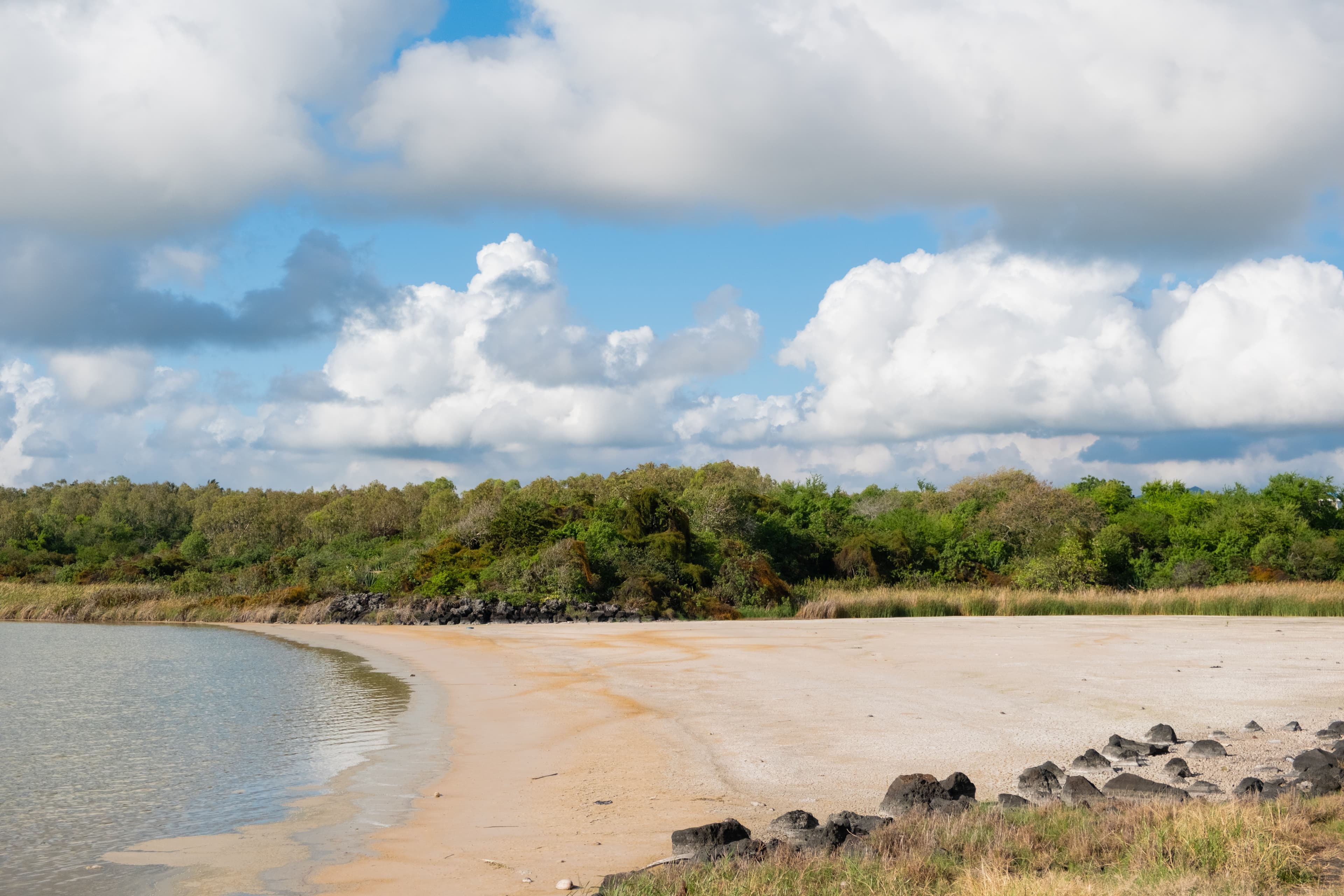 Island nature